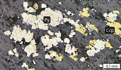 Image 2. TADD-278, at 752.5 meters: Pyrite individuals (Py) and chalcopyrite (Cpy) disseminated throughout the sample (CNW Group/Orvana Minerals Corp.)