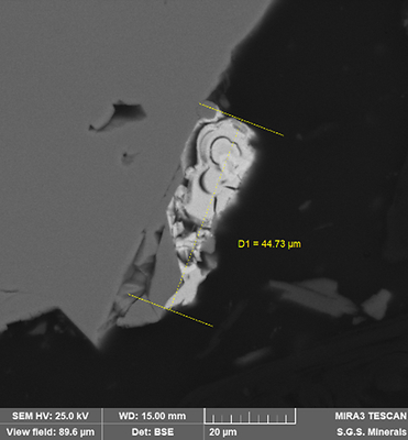 Figure 2. Backscattered electron image of an electrum particle from sample PAR-2. (CNW Group/Outcrop Silver & Gold Corporation)