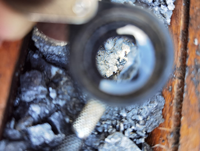 Course pyrargyrite (pinkish silver-rich sulfosalt) and native silver from the deepest core in San Juan. Native silver and pyrargyrite have only been observed in the deeper parts of San Juan, suggesting mineralization is open and silver may be enriched at depth. Assays pending. (CNW Group/Outcrop Silver & Gold Corporation)