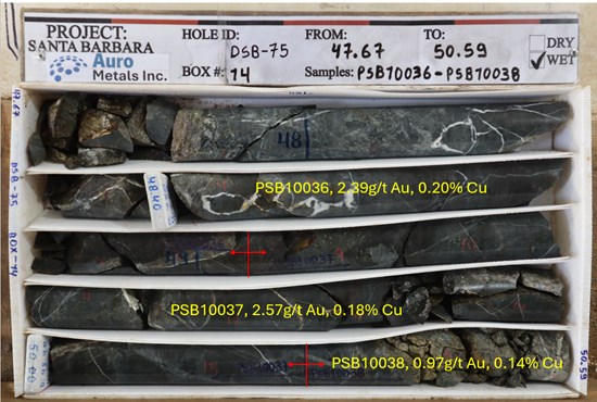 Figure 10: Core photo of DSB-75, Box 14, from 47.67m to 50.59m, mineralized diorite porphyry cut by quartz veining.