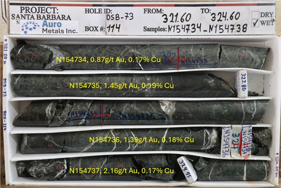 Figure 7: Core photo of DSB-73, Box 114, from 321.6m to 324.6m, mineralized diorite porphyry cut by quartz veining.