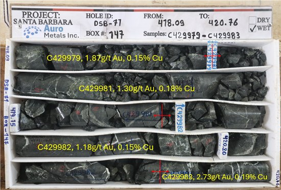 Figure 3: Core photo of DSB-71, Box 147, from 418.09m to 420.76m, mineralized basaltic andesite cut by quartz veining.To view an enhanced version of this graphic, please visit:https://images.newsfilecorp.com/files/7553/318755_2c6d39b4745fa80c_003full.jpg