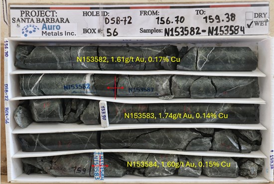 Figure 5: Core photo of DSB-72, Box 56, from 156.7m to 159.38m, mineralized volcano-sediments cut by quartz veining.