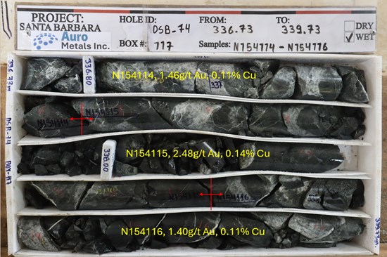 Figure 8: Core photo of DSB-74, Box 117, from 336.73m to 339.73m, mineralized basaltic andesite cut by quartz veining.